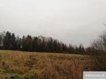 Działka rolna Sierakowo Słupskie. Zdjęcie 4