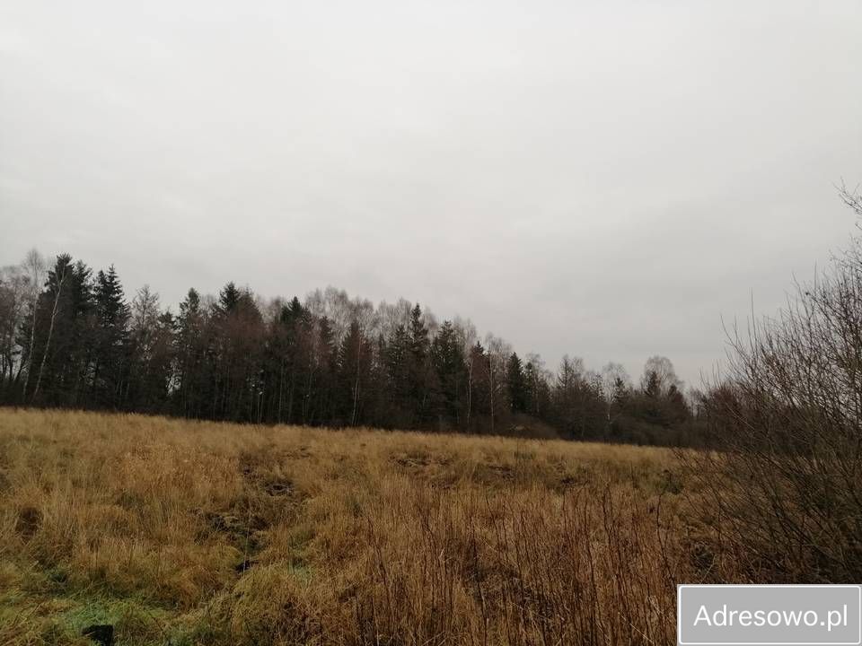 Działka rolna Sierakowo Słupskie. Zdjęcie 5