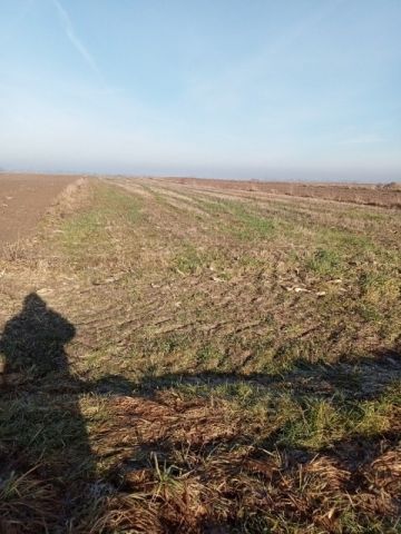 Działka rolna Szczurowa. Zdjęcie 1