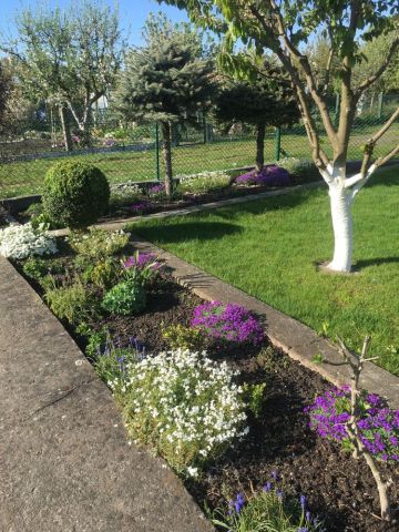 Działka rekreacyjna Szczecin Zdroje. Zdjęcie 1