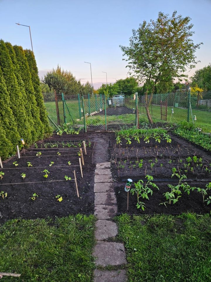 Działka rod Łuków, ul. Bolesława Prusa. Zdjęcie 6