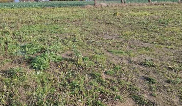 Działka rolno-budowlana Mochle