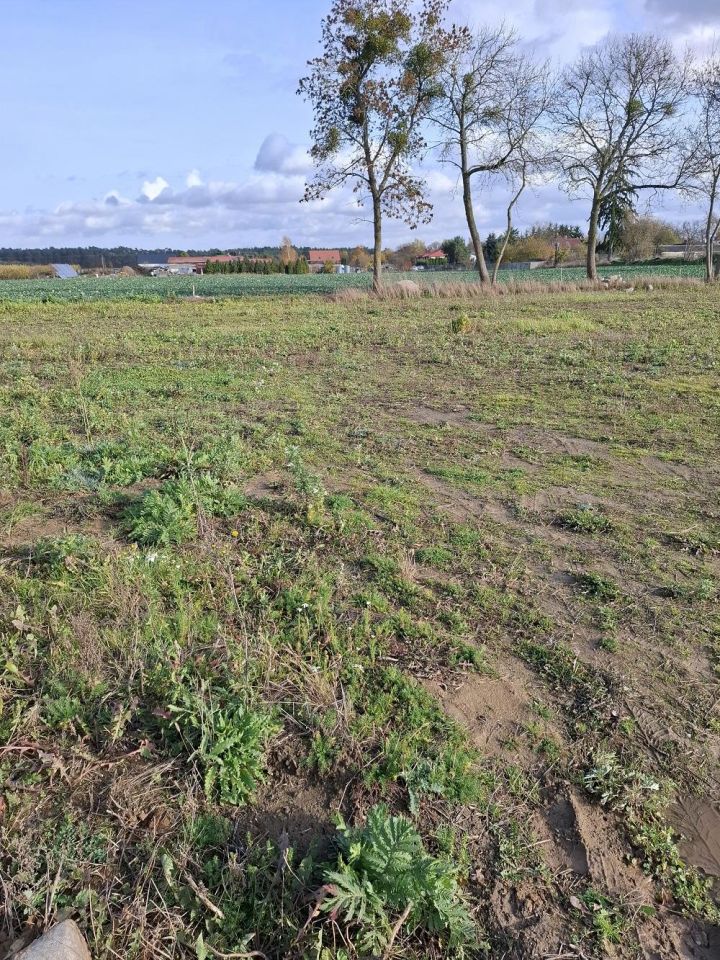 Działka rolno-budowlana Mochle