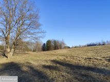 Działka rolna Ełganowo, ul. Świerkowa. Zdjęcie 4