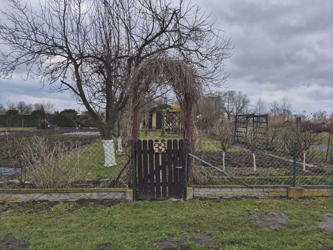 Działka rod Syców. Zdjęcie 7