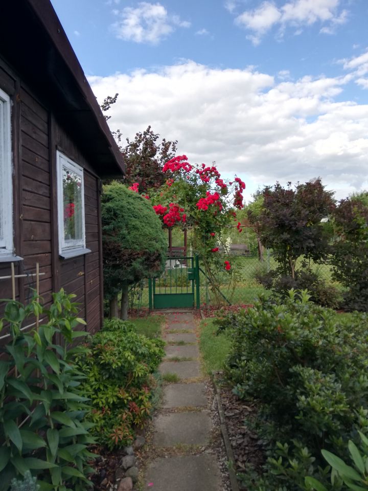 Działka rod Warszawa Bemowo, Dzialka ROD Bemowo II. Zdjęcie 4