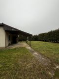 Działka rod Kopanka. Zdjęcie 3
