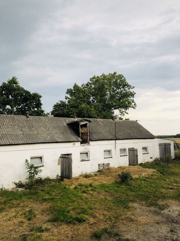 gospodarstwo Łubki. Zdjęcie 3