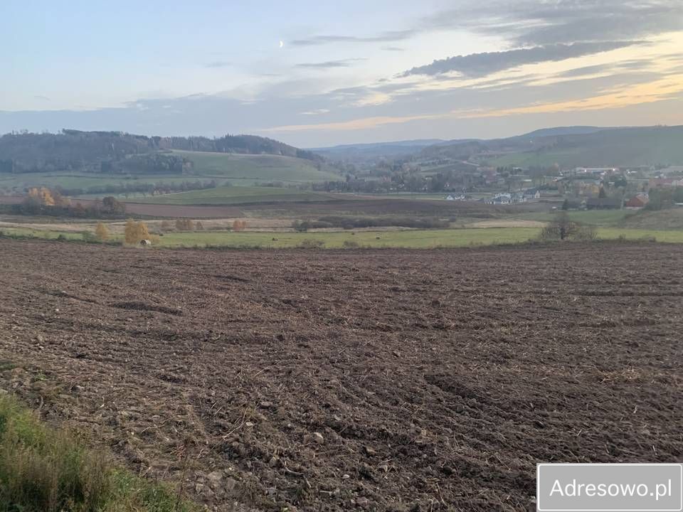 Działka rolno-budowlana Czarny Bór. Zdjęcie 4