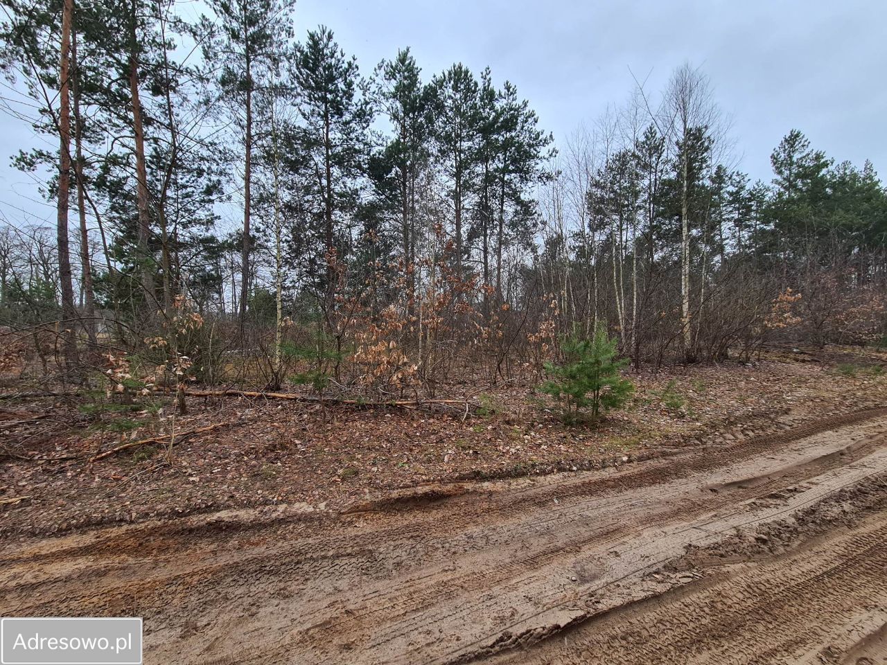 Działka rolno-budowlana Molendy. Zdjęcie 9