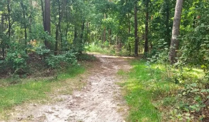 Działka leśna Jagodno