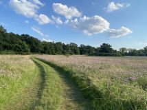 Działka budowlana Mniszew. Zdjęcie 1