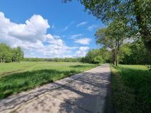 Działka rod Potrzanowo. Zdjęcie 4