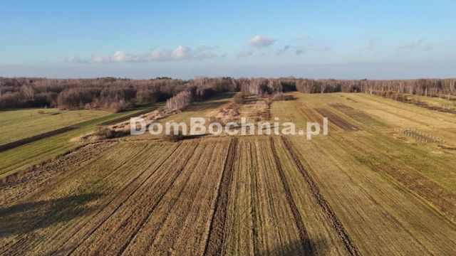 Działka budowlana Jodłówka. Zdjęcie 11