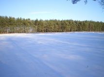 Działka rolna Kąty-Miąski. Zdjęcie 4