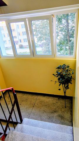 Mieszkanie 1-pokojowe Warszawa Bródno, ul. Łojewska. Zdjęcie 9