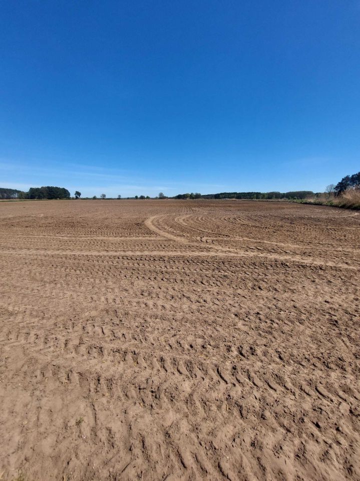 Działka rolna Sarbia. Zdjęcie 2