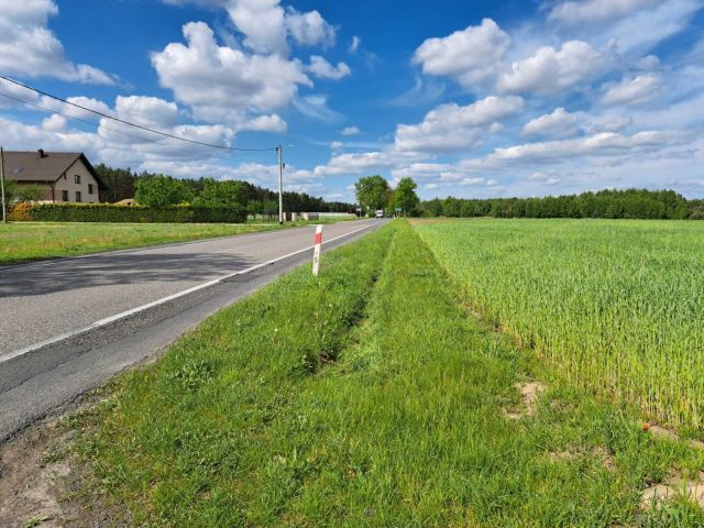 Działka rolna Studzianna. Zdjęcie 1