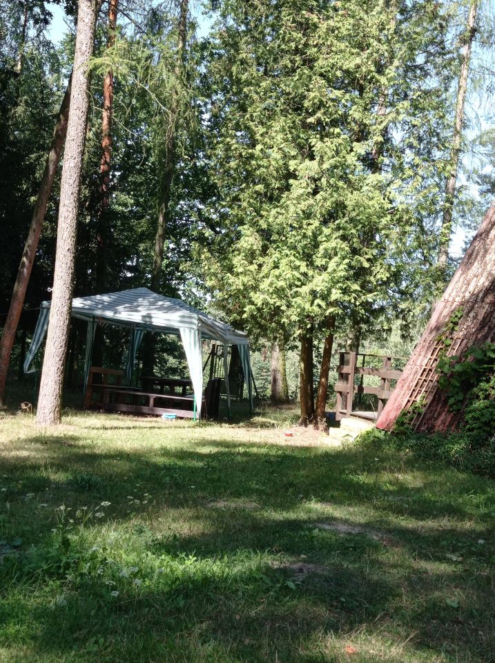 Działka rekreacyjna Zaborze. Zdjęcie 9