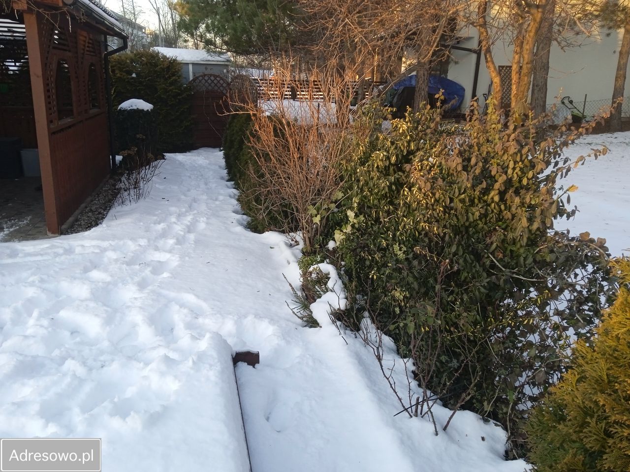 Działka rod Ząbki, ul. Skrajna. Zdjęcie 14