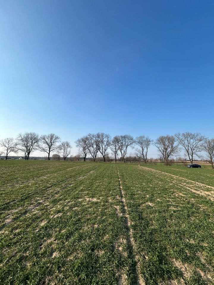 Działka rolno-budowlana Orchowo, ul. Trzemeszeńska. Zdjęcie 5