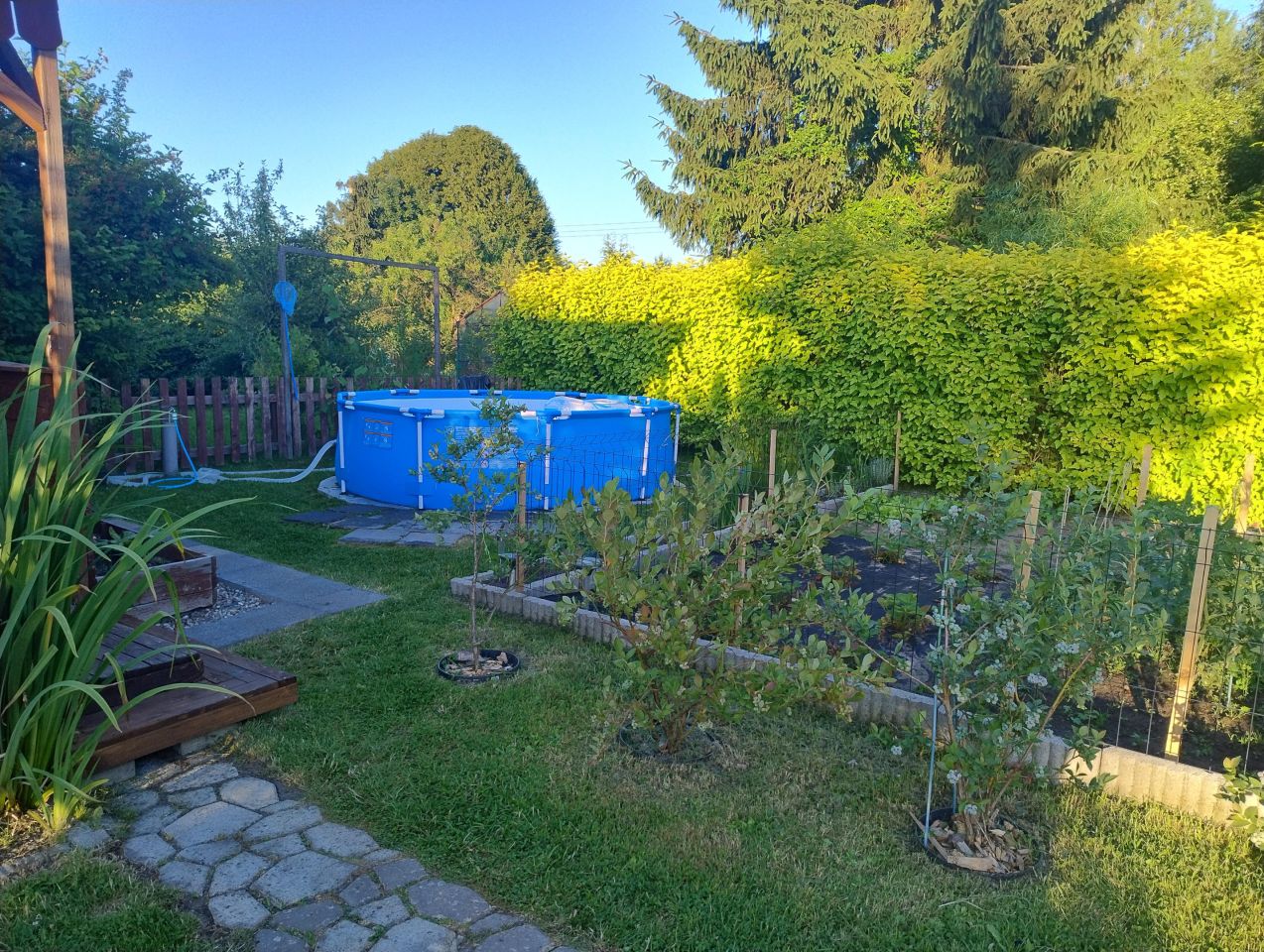 Działka rod Świdwin, ul. Łokietka. Zdjęcie 9