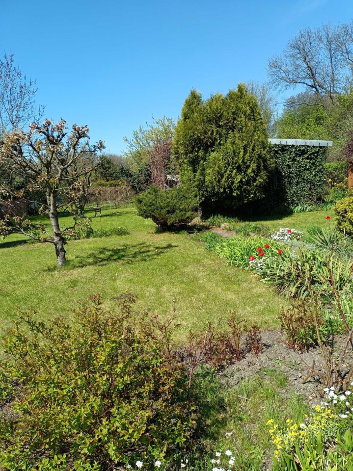 Działka rod Łódź Górna. Zdjęcie 6