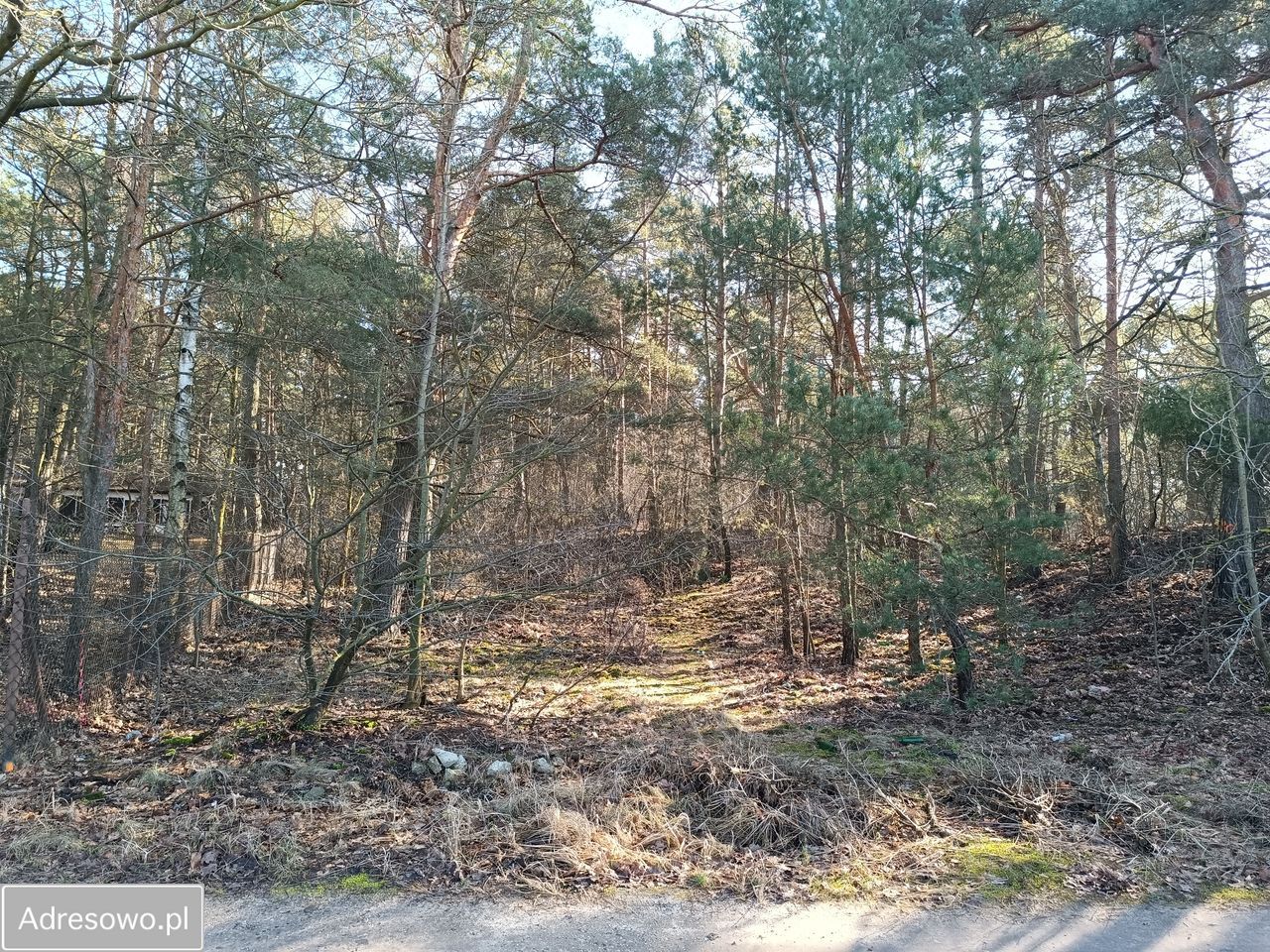 Działka leśna Ruda. Zdjęcie 1