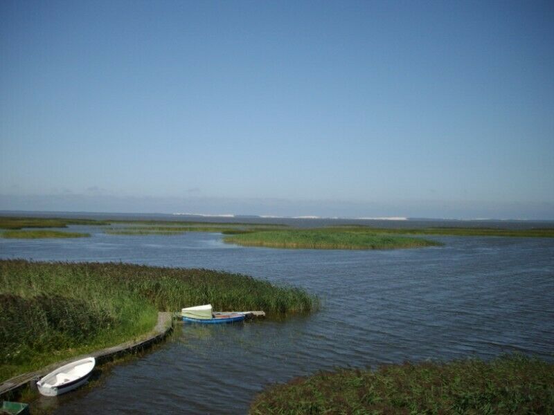 Działka budowlana Izbica. Zdjęcie 6