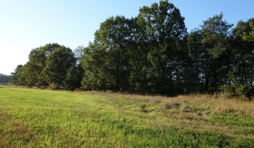 Działka rolna Ochaby Wielkie Baranowice, ul. Baranowicka