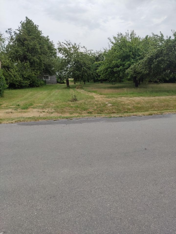 Działka budowlana Płoskie. Zdjęcie 4