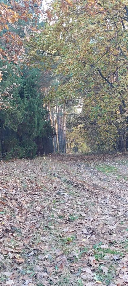 Działka budowlana Słopsk, ul. Pólko. Zdjęcie 3