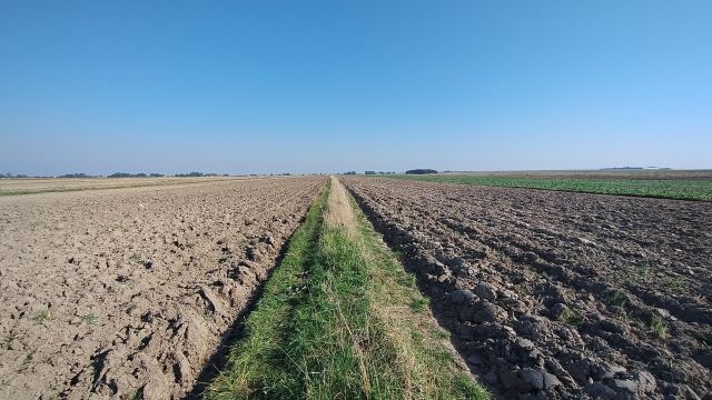 Działka rolna Warzyn Pierwszy. Zdjęcie 1