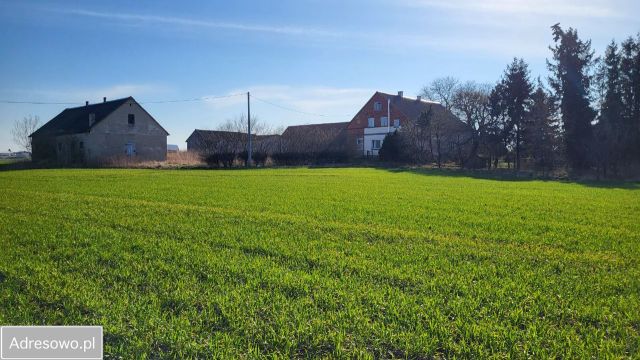 dom wolnostojący, 6 pokoi Pasłęk Zdroje, ul. Kolonia Zdroje. Zdjęcie 8