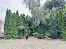 Działka rod Kajetany. Zdjęcie 2