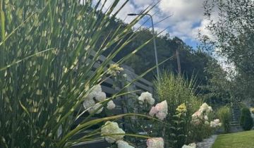 dom wolnostojący, 5 pokoi Płóczki Górne