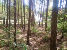 Działka rekreacyjna Lipianki. Zdjęcie 2