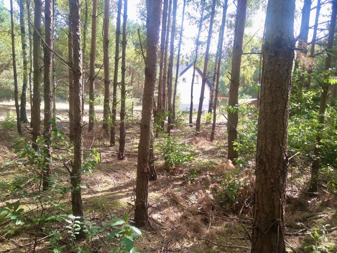 Działka rekreacyjna Lipianki. Zdjęcie 3