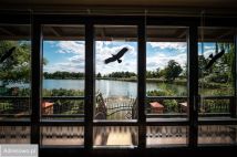 dom wolnostojący, 8 pokoi Turawa. Zdjęcie 2