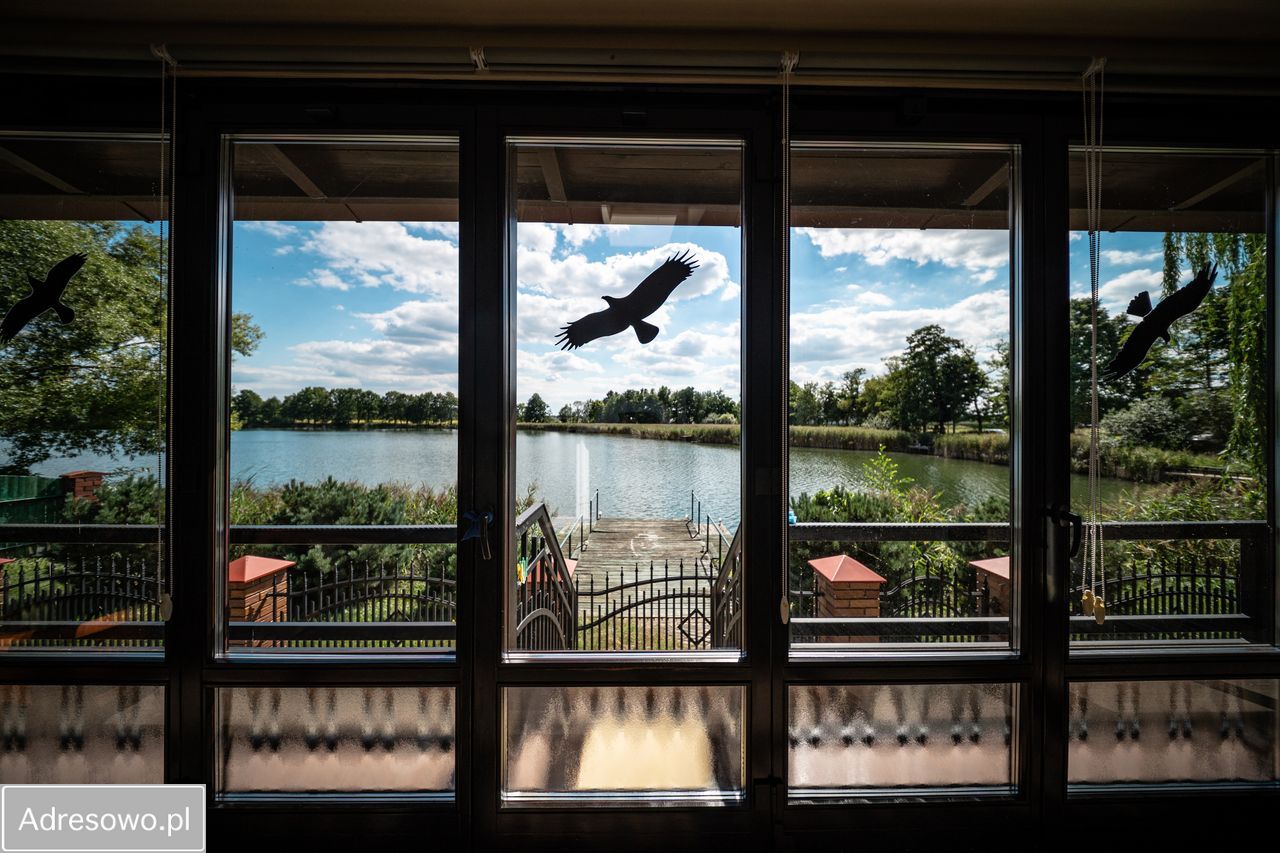 dom wolnostojący, 8 pokoi Turawa. Zdjęcie 3