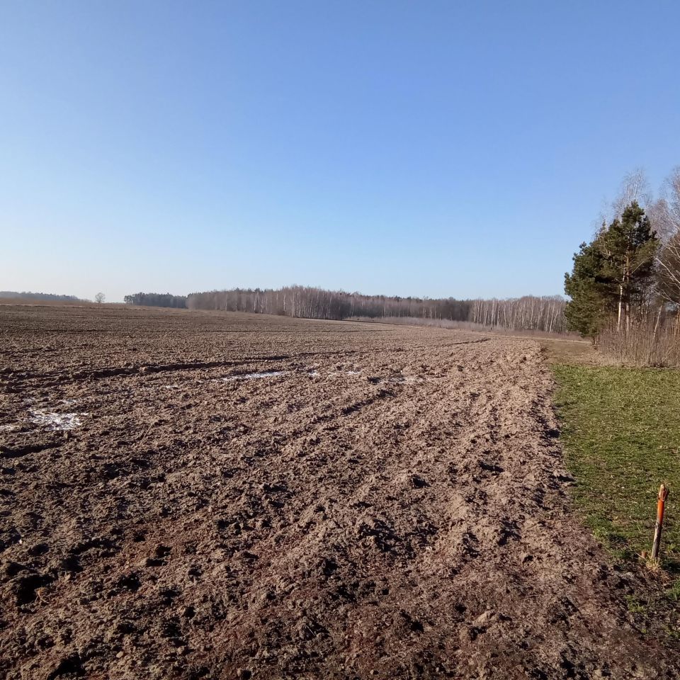 Działka rolna Helenów. Zdjęcie 4