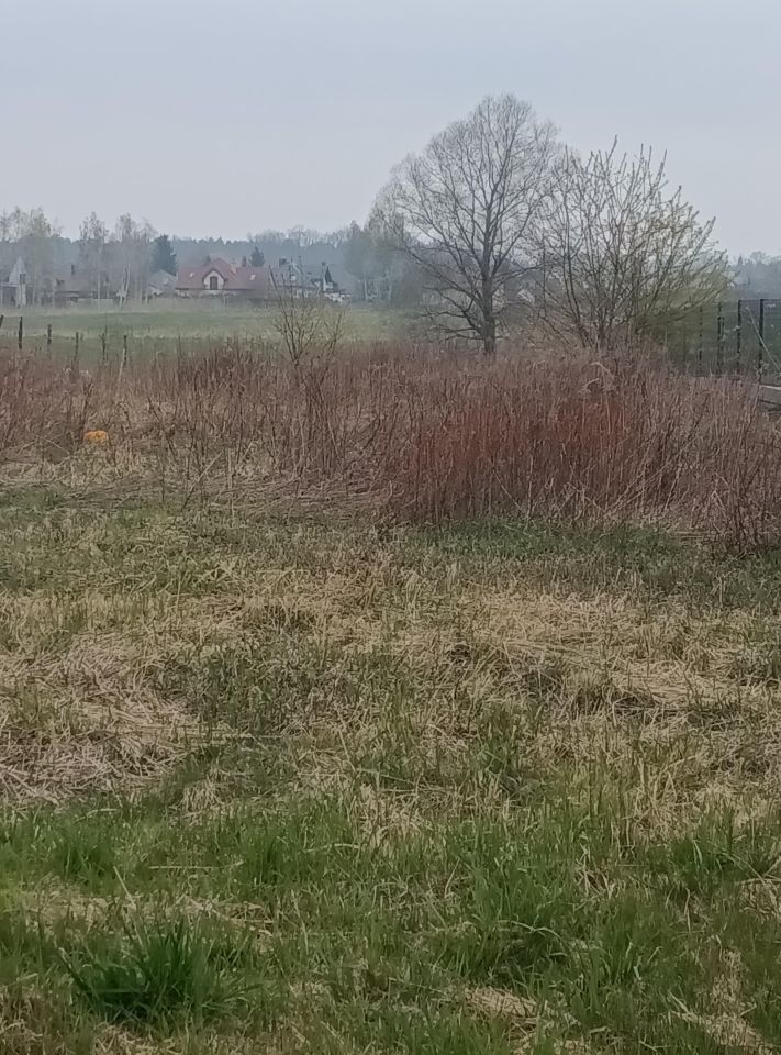 Działka budowlana Głogów Małopolski Wygoda, ul. Jęczmienna. Zdjęcie 1