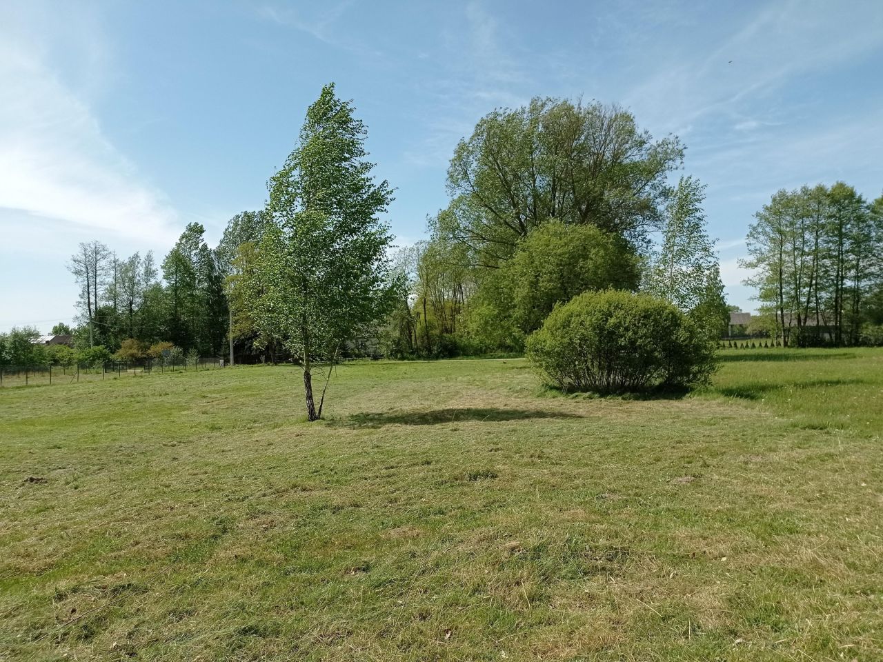 Działka budowlana Wola Brudnowska. Zdjęcie 9