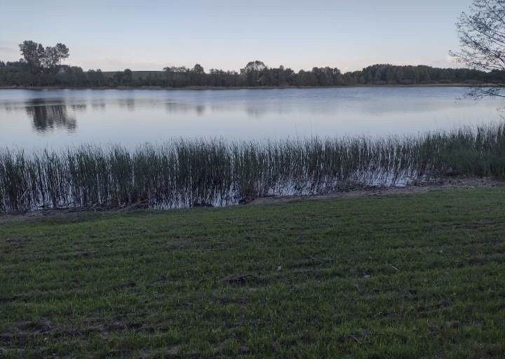 Działka rekreacyjna Rybiny. Zdjęcie 4