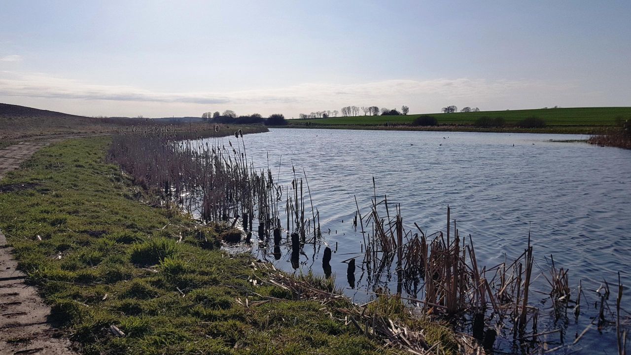Działka budowlana Gdańsk Klukowo, ul. Telewizyjna. Zdjęcie 10