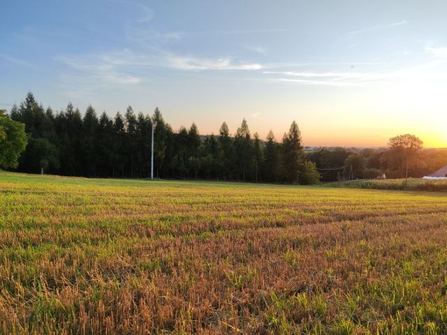 Działka budowlana Janowice. Zdjęcie 1