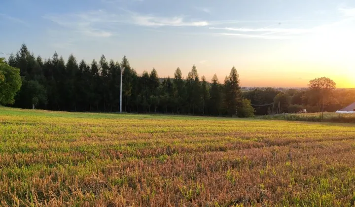 Działka budowlana Janowice