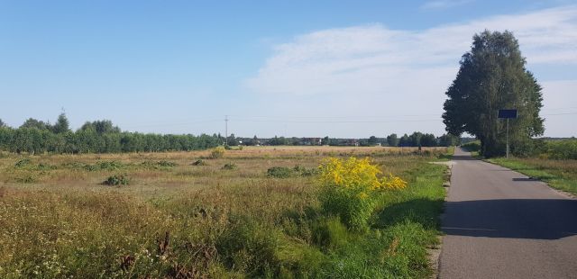 Działka budowlana Pogorzałe Ługi. Zdjęcie 7