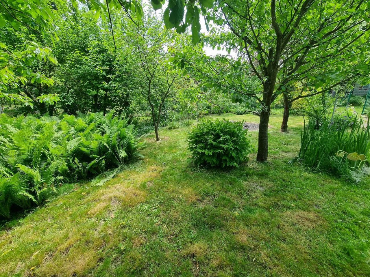 Działka rod Lublin Sławinek, ul. Agronomiczna. Zdjęcie 5