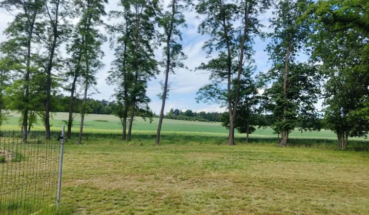 Działka rolna Koziołki